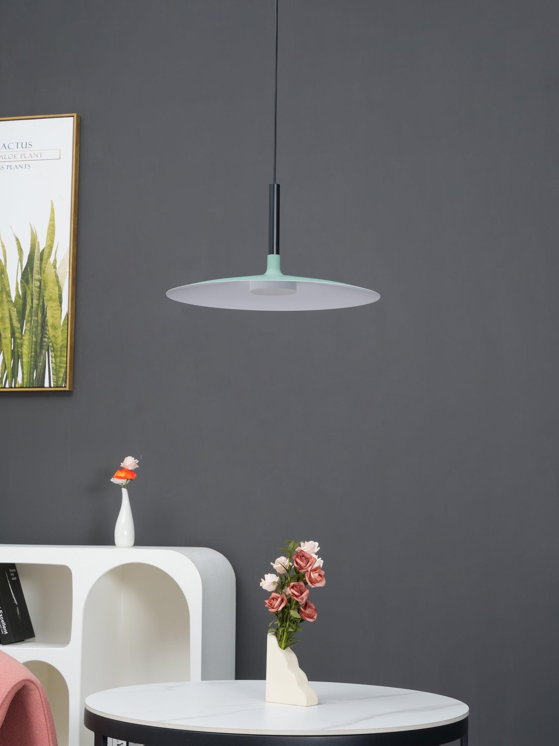 Aplomb Contemporary Metal Ceiling Pendant Lamp
