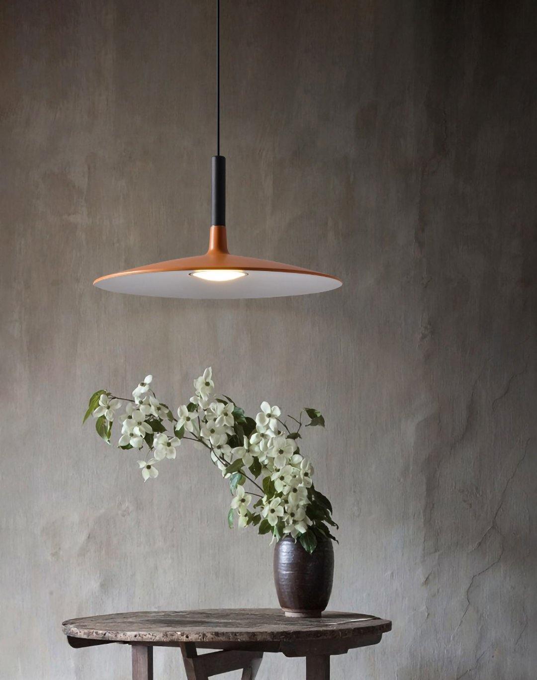 Aplomb Contemporary Metal Ceiling Pendant Lamp