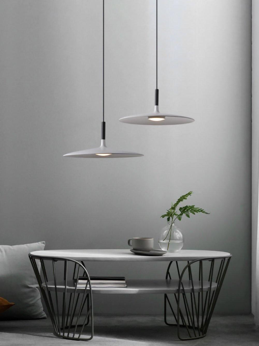 Aplomb Contemporary Metal Ceiling Pendant Lamp