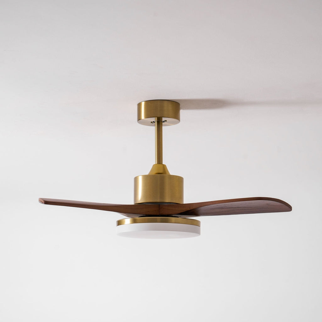 Aurevo Ceiling Fan Light Fixture