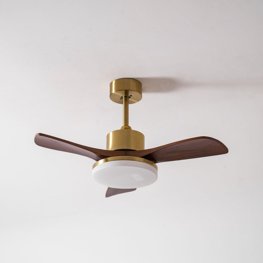 Aurevo Ceiling Fan Light Fixture