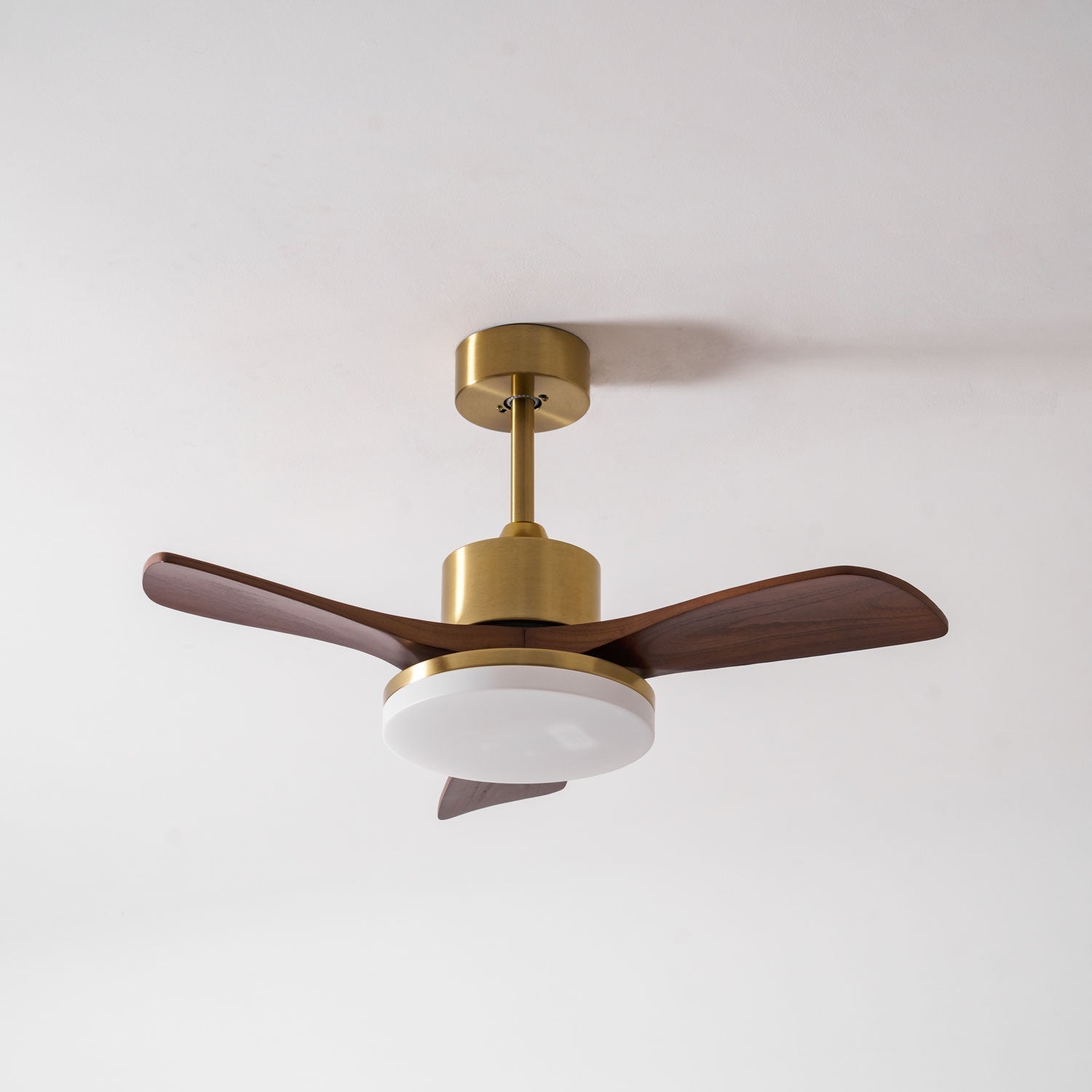 Aurevo Ceiling Fan Light Fixture