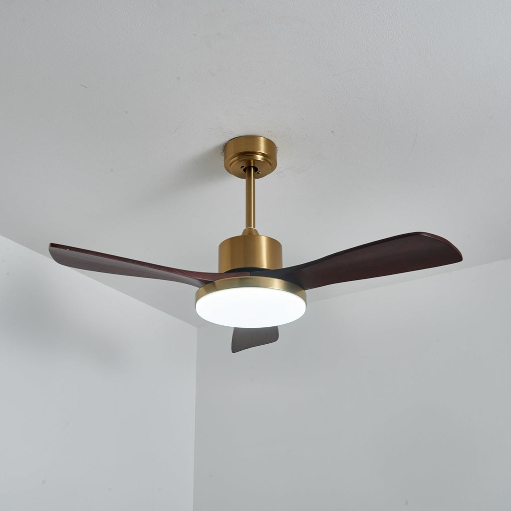 Aurevo Ceiling Fan Light Fixture