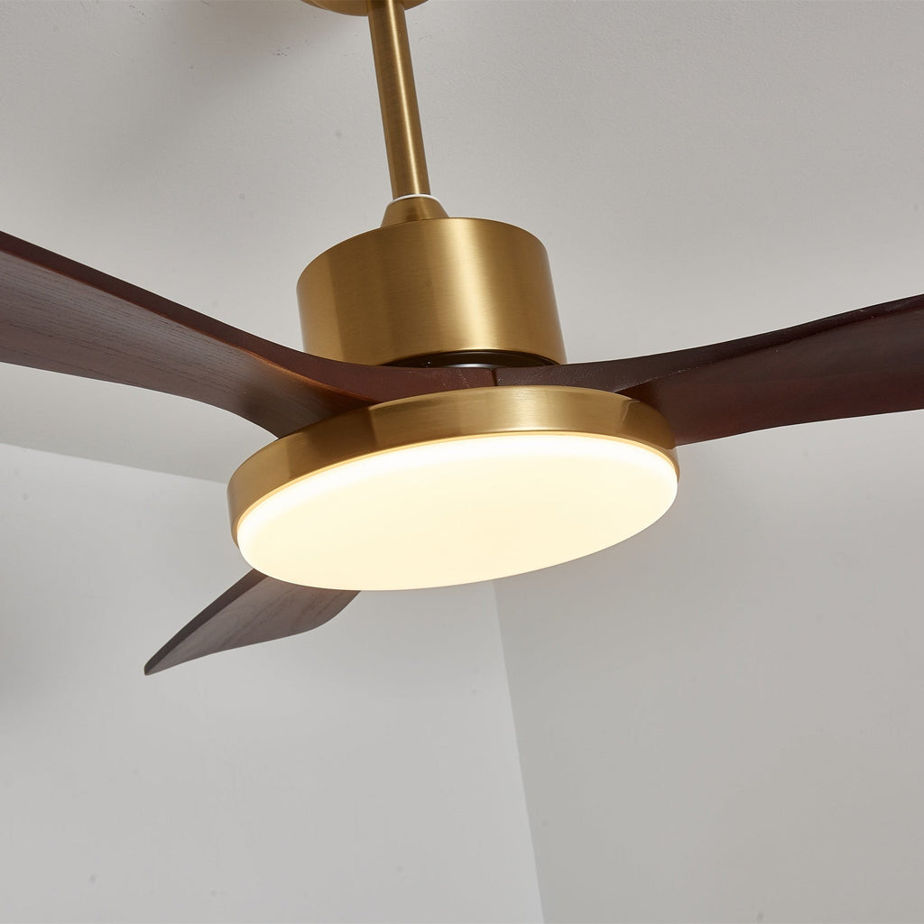 Aurevo Ceiling Fan Light Fixture