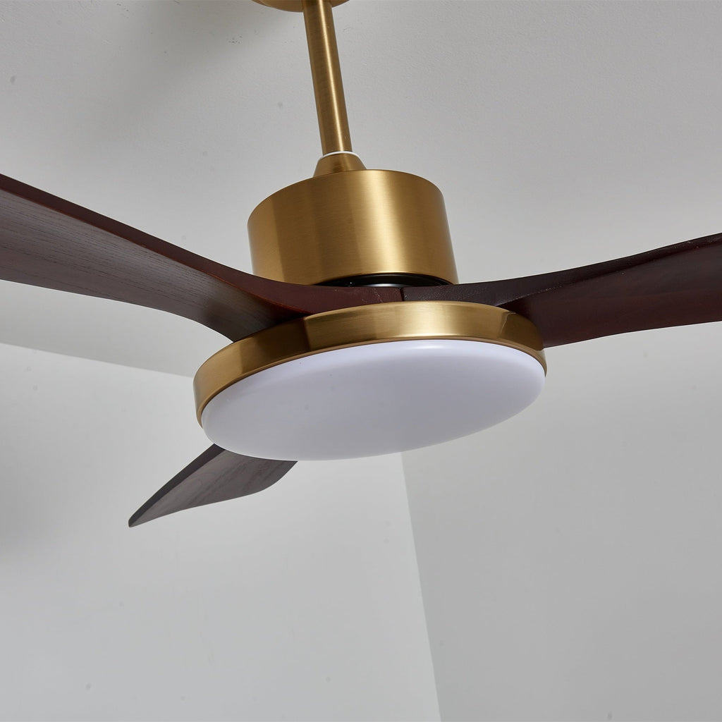 Aurevo Ceiling Fan Light Fixture