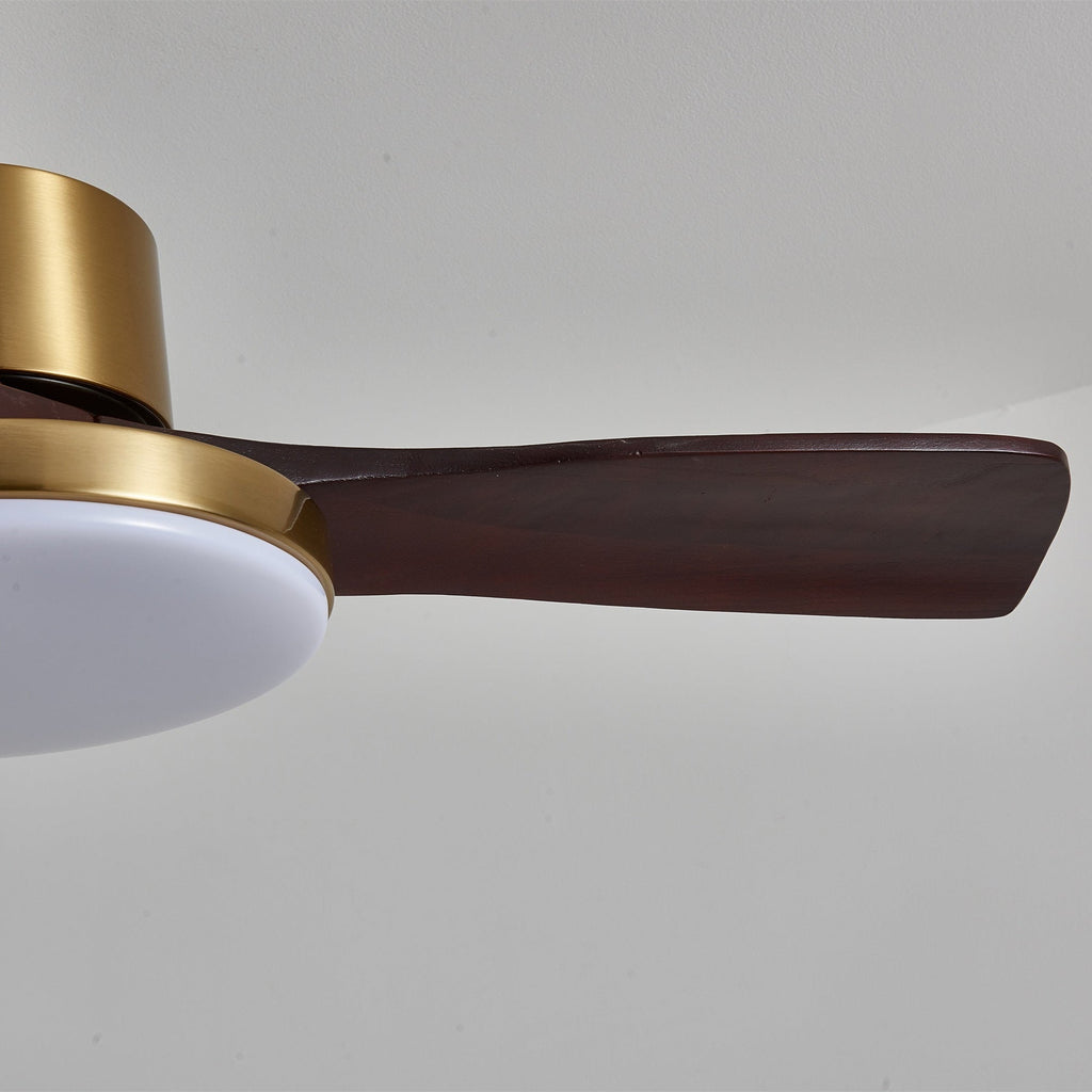 Aurevo Ceiling Fan Light Fixture
