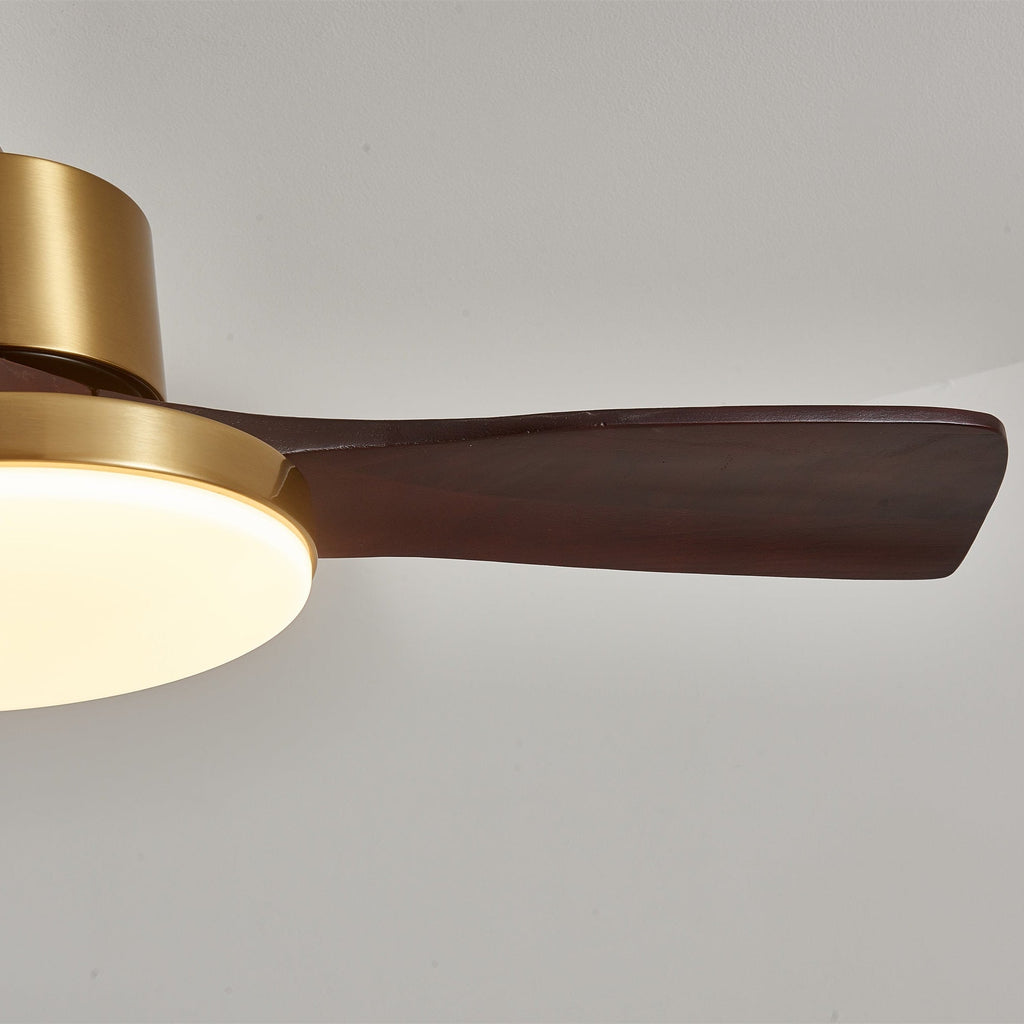 Aurevo Ceiling Fan Light Fixture