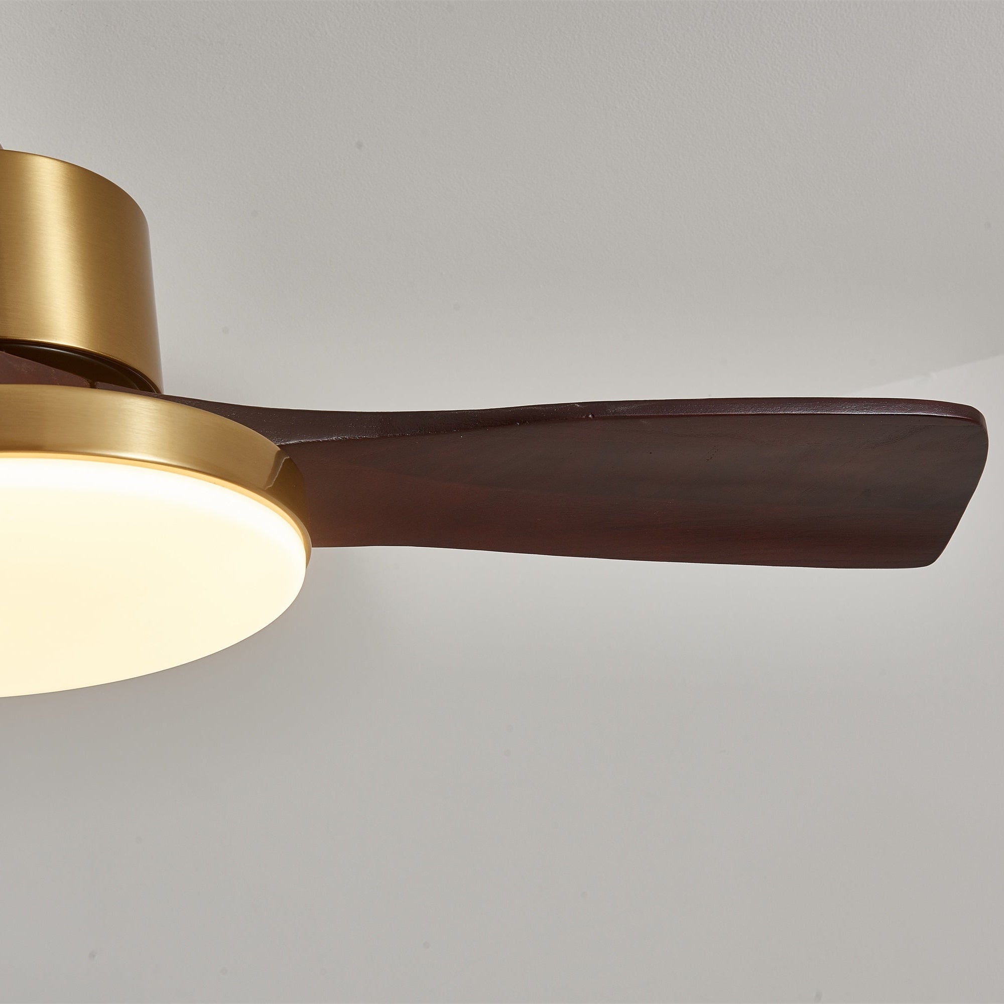 Aurevo Ceiling Fan Light Fixture