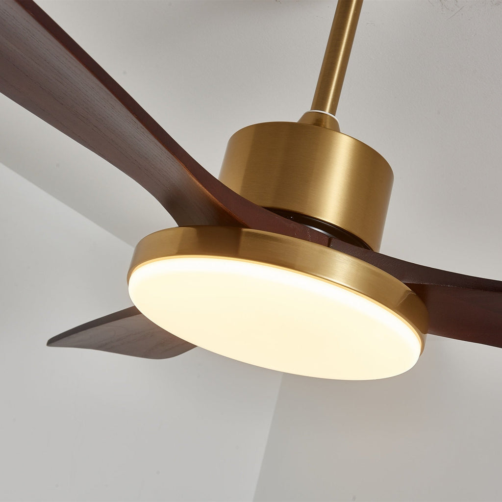 Aurevo Ceiling Fan Light Fixture