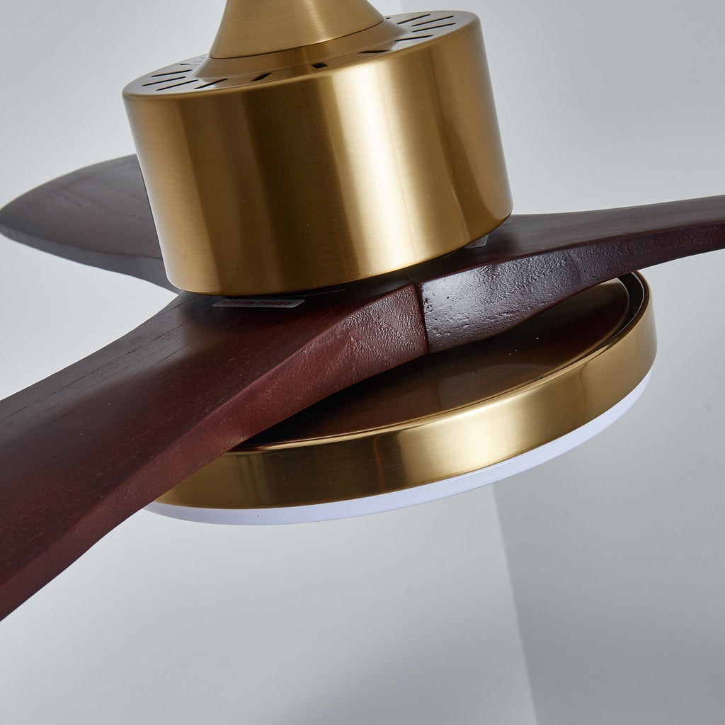 Aurevo Ceiling Fan Light Fixture
