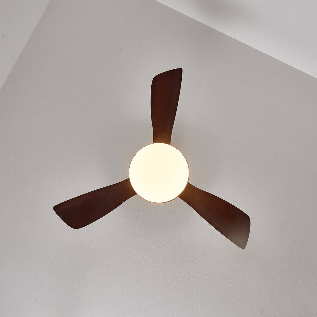 Aurevo Ceiling Fan Light Fixture