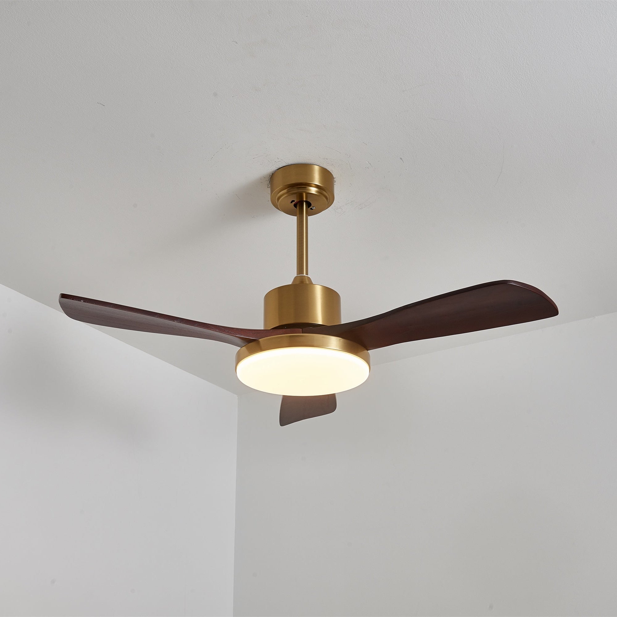 Aurevo Ceiling Fan Light Fixture