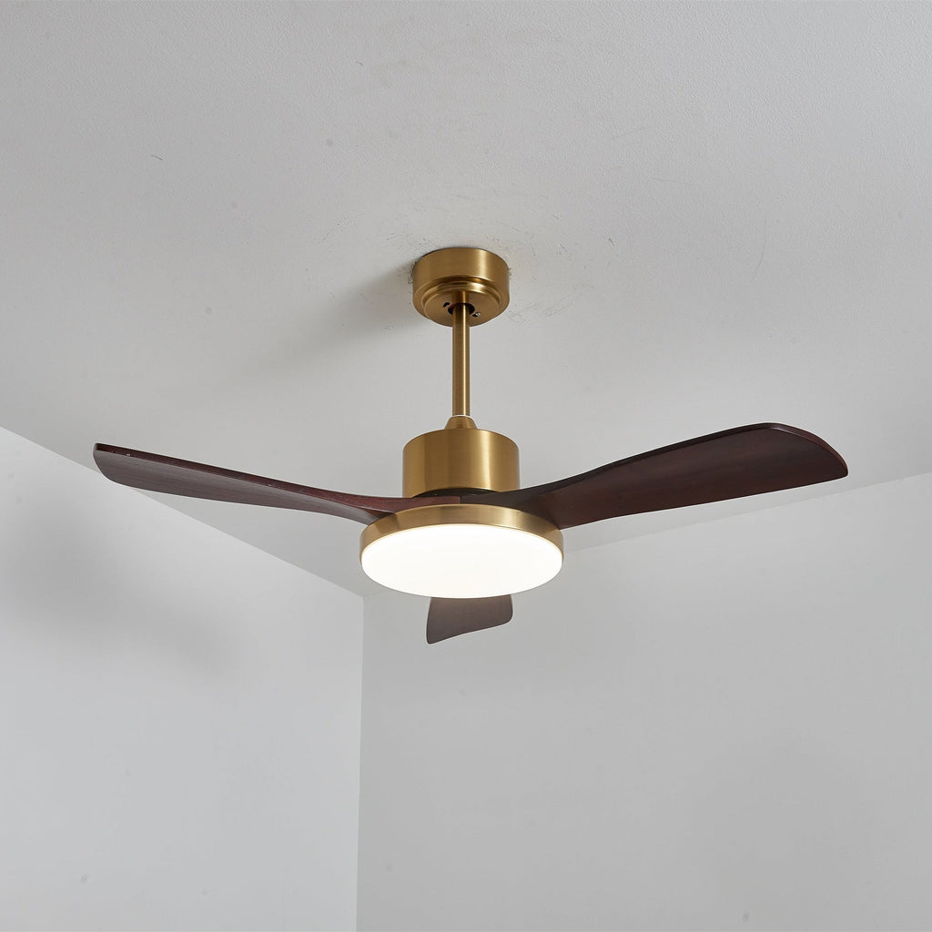 Aurevo Ceiling Fan Light Fixture