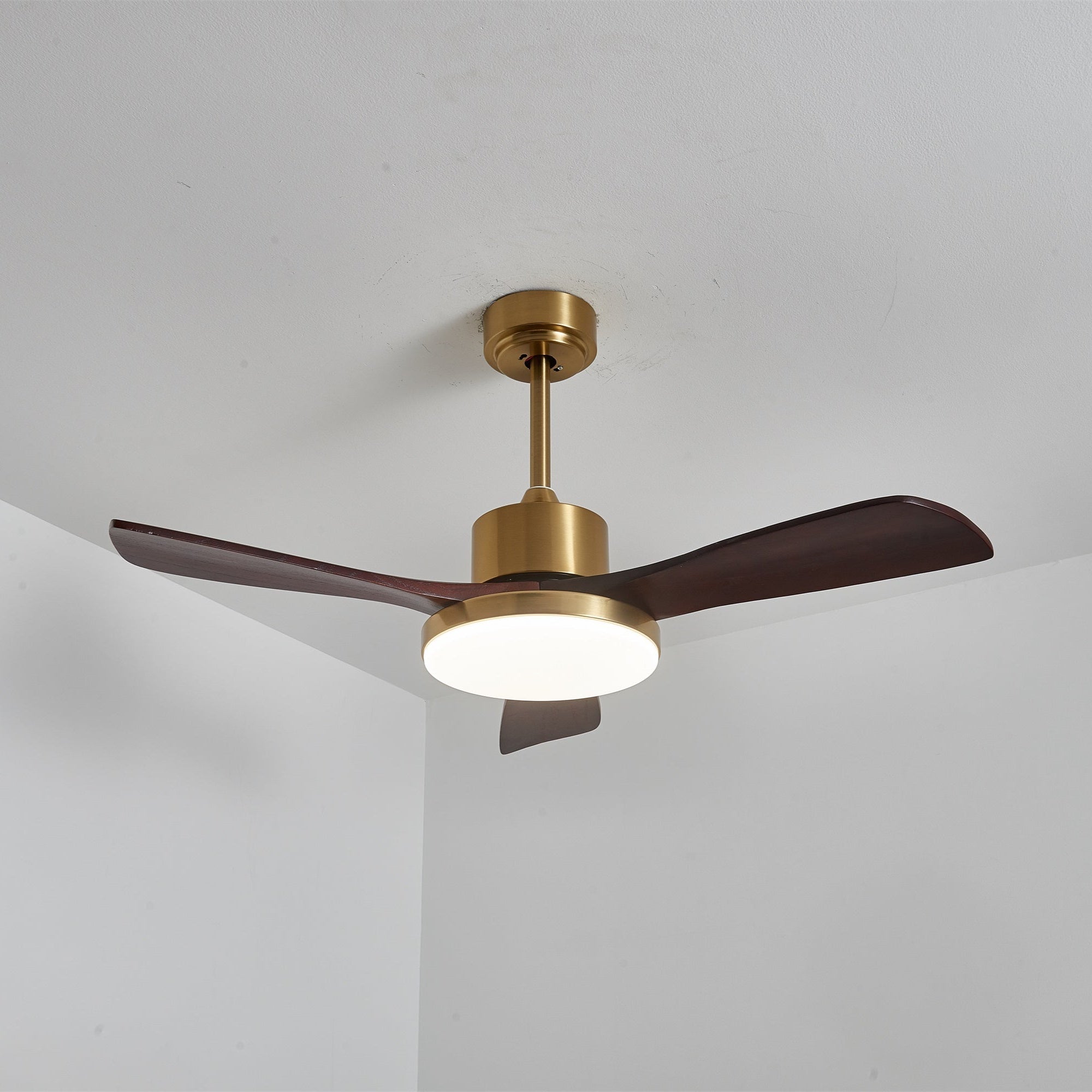 Aurevo Ceiling Fan Light Fixture