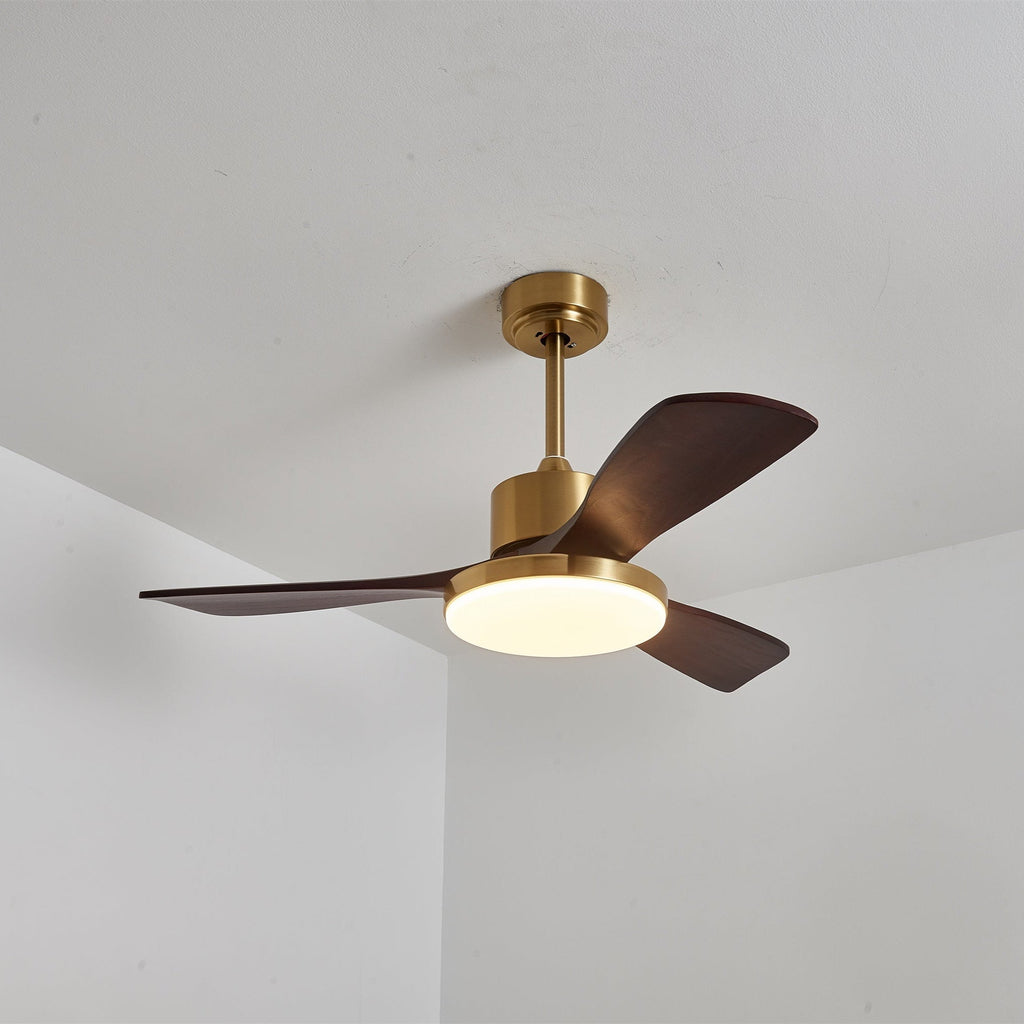 Aurevo Ceiling Fan Light Fixture