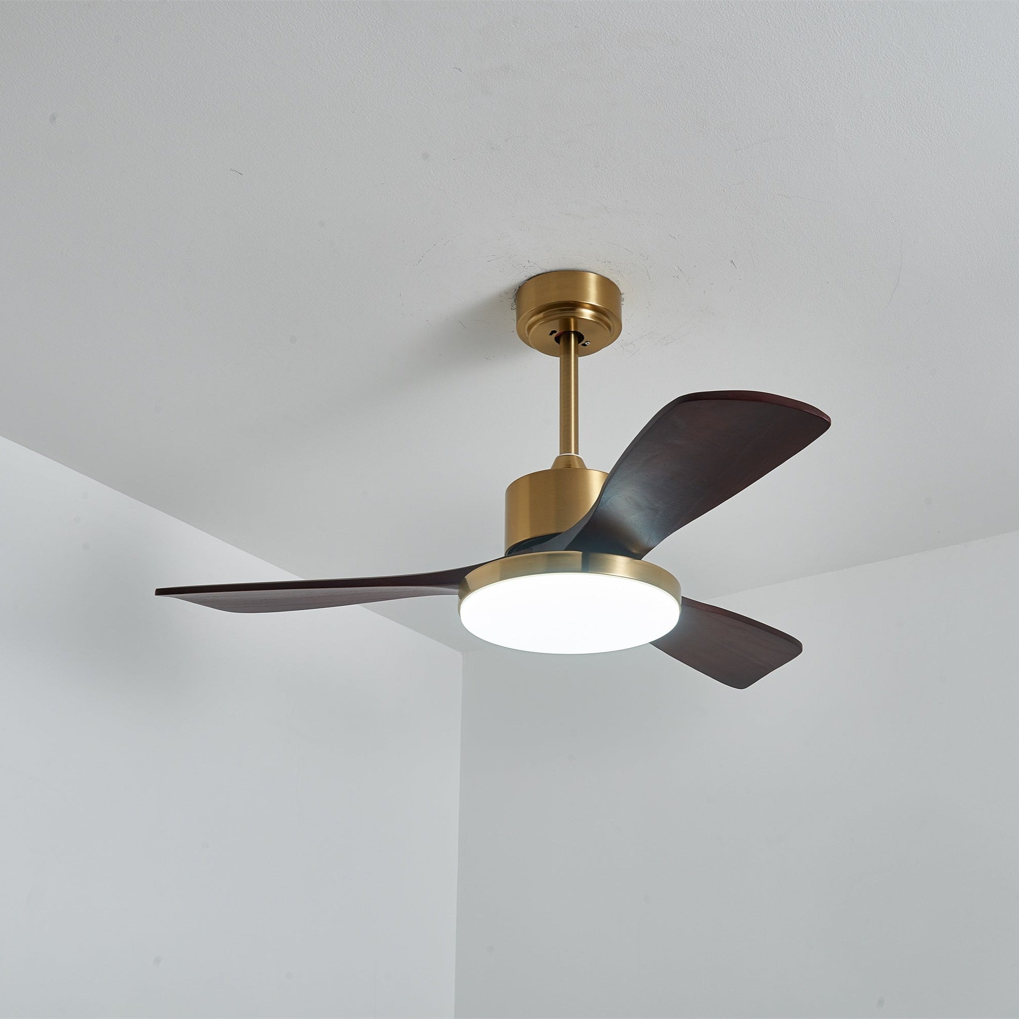 Aurevo Ceiling Fan Light Fixture