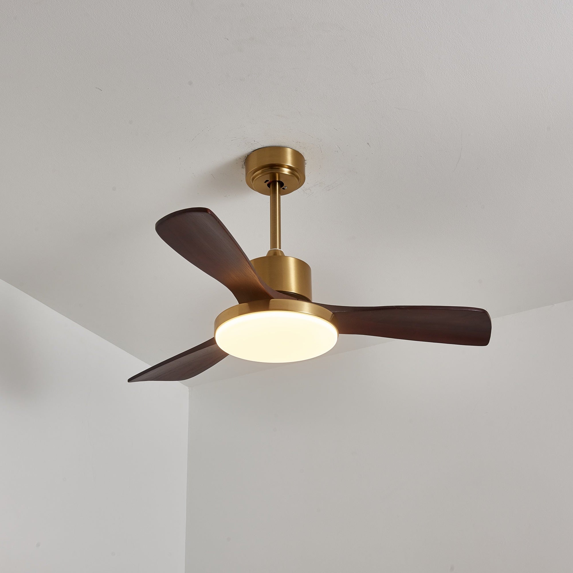 Aurevo Ceiling Fan Light Fixture