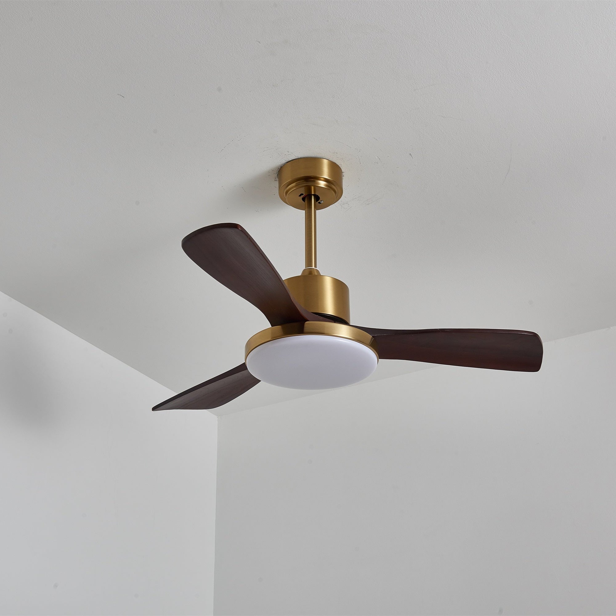 Aurevo Ceiling Fan Light Fixture