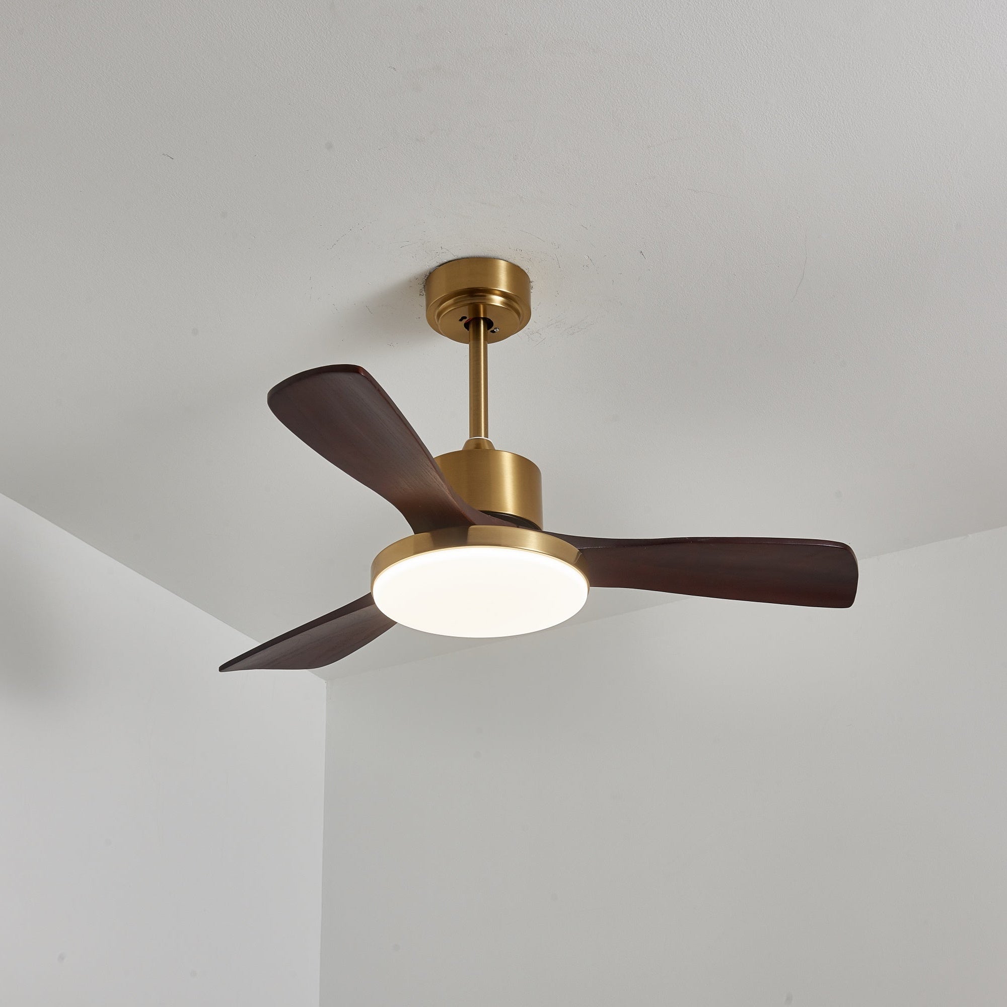 Aurevo Ceiling Fan Light Fixture