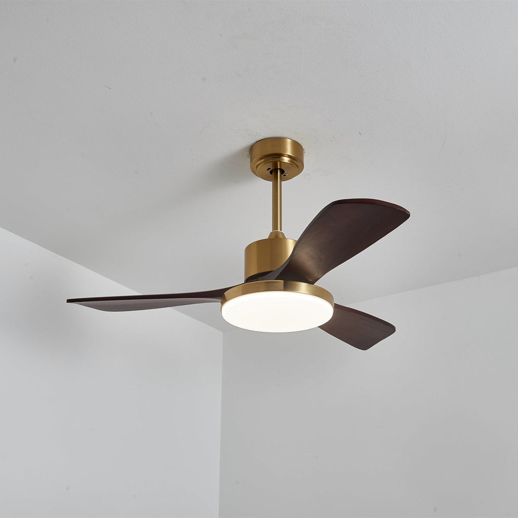 Aurevo Ceiling Fan Light Fixture