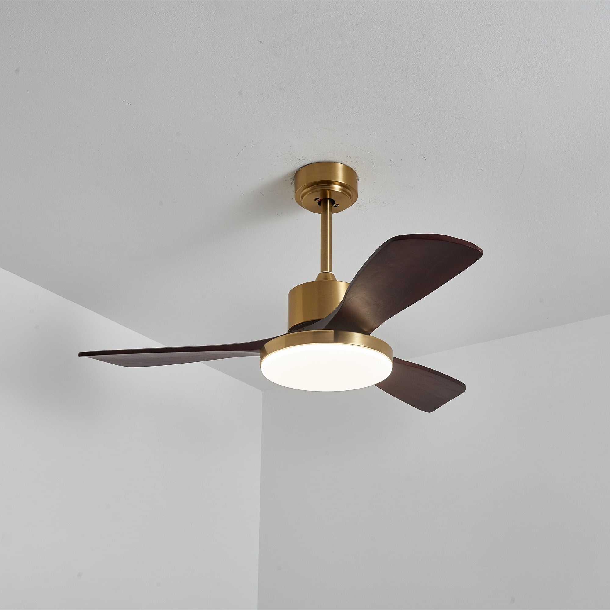 Aurevo Ceiling Fan Light Fixture