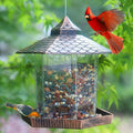 Comedero para pájaros CopperGleam con elegante aspecto de cobre resistente a la intemperie para decorar el jardín y el balcón