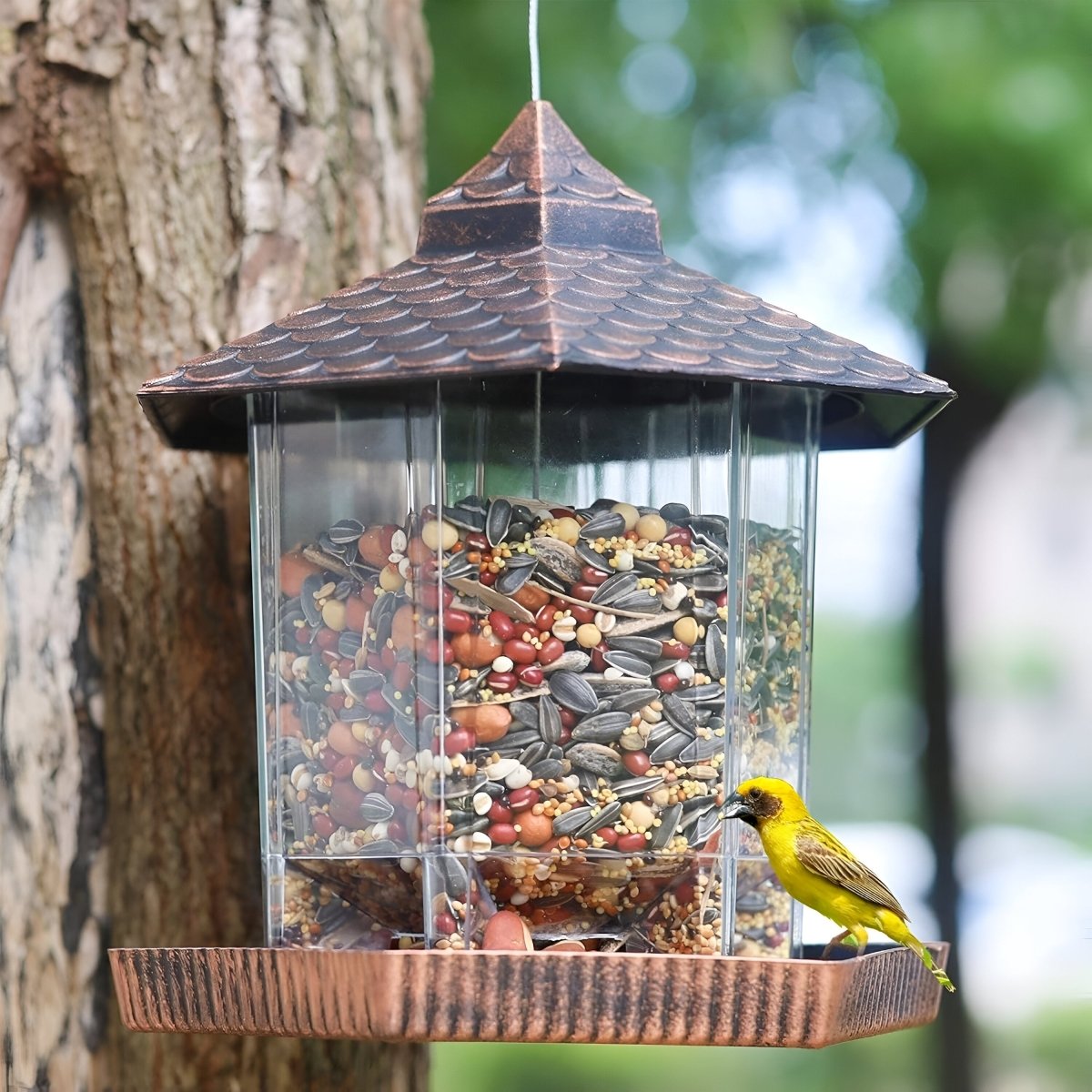 Comedero para pájaros CopperGleam con elegante aspecto de cobre resistente a la intemperie para decorar el jardín y el balcón