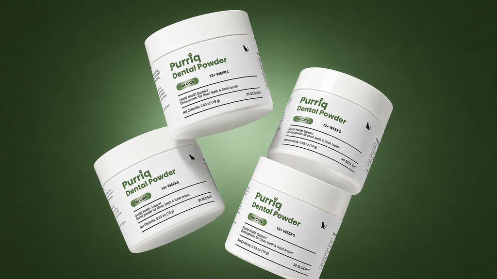 Three tubs of dental powder on a green background