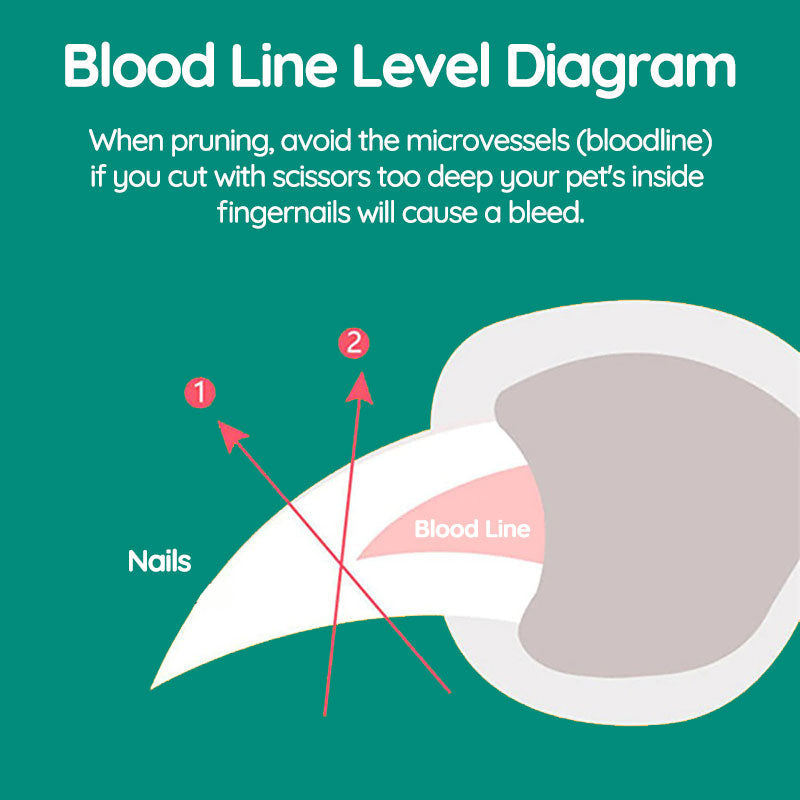 MAX - Legjobb kutyakörömvágók gyors érzékelőkkel