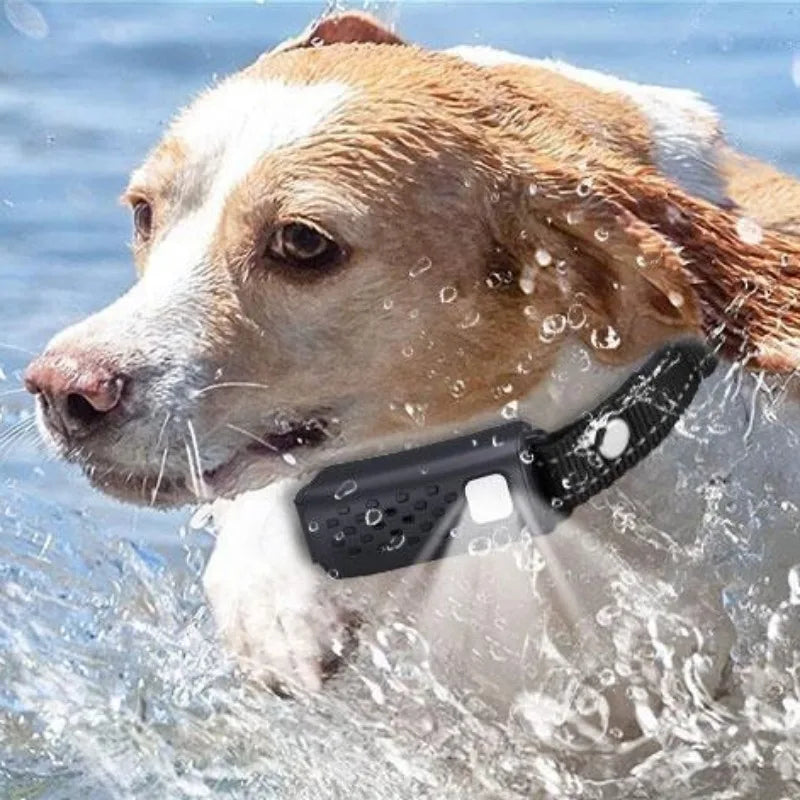 קולר אילוף לכלבים עם שלט רחוק - טווח של 3280 רגל וקולרי הלם לכלבים
