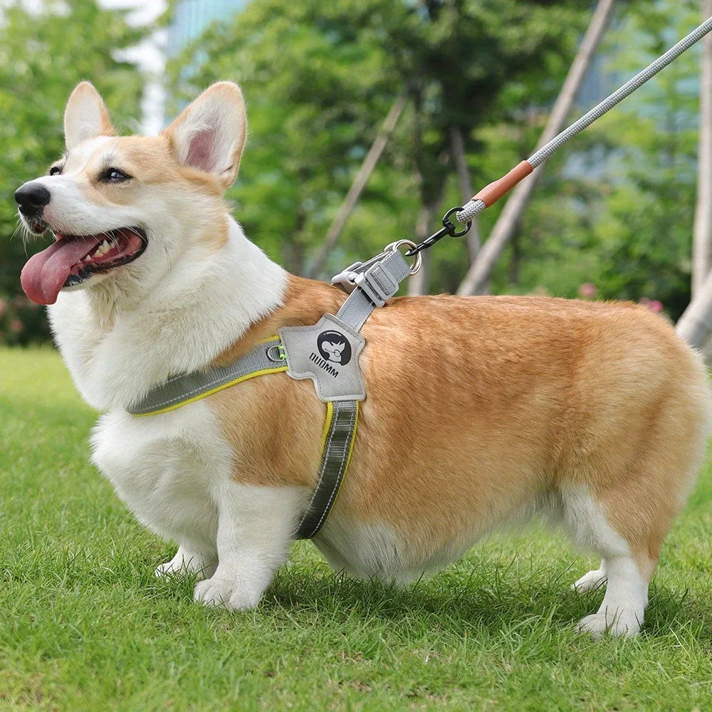 Pettorina riflettente DUOMM per cani con anello