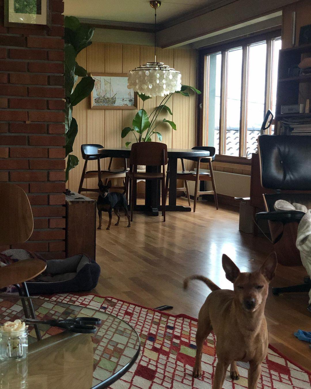 Kulatý lustr s více úrovněmi a skořepinami — design z průsvitných disků