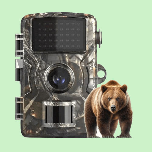 Telecamera per Animali Selvatici da Esterno con Visione Notturna