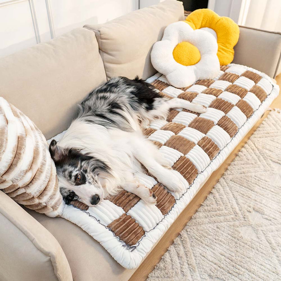 Cama para mascotas de chenilla lavable CozyCloud para uso doméstico