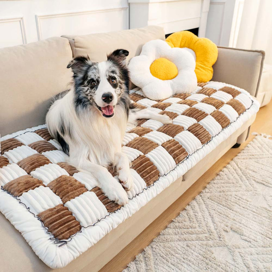 Cama para mascotas de chenilla lavable CozyCloud para uso doméstico