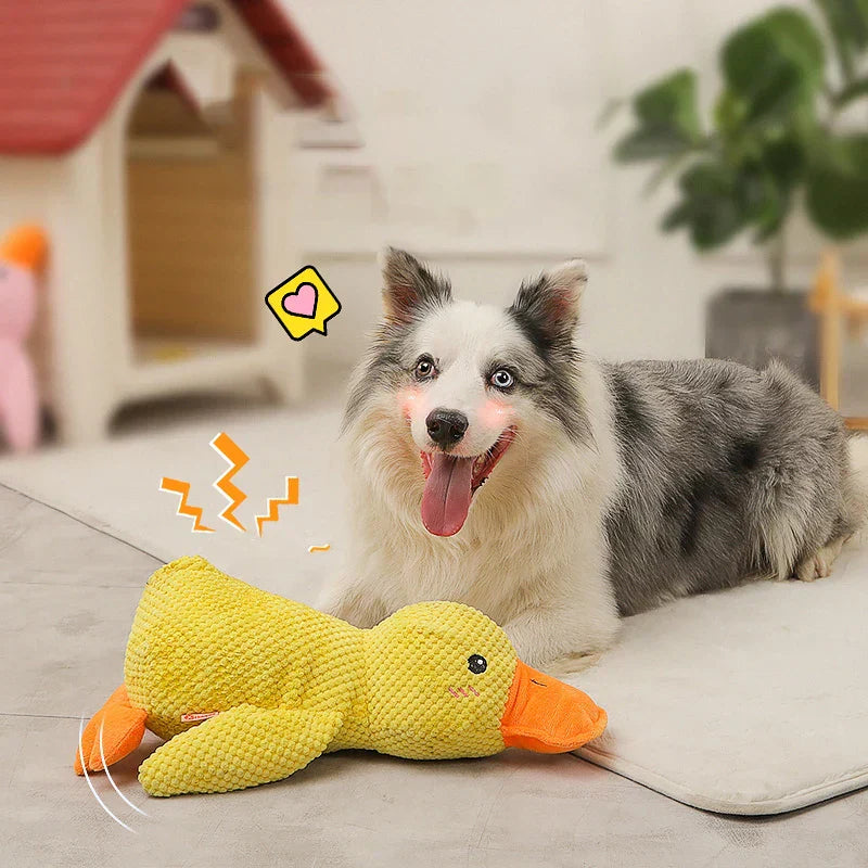 NovaNest Beroligende Andelegetøj til Hunde til Blid, Beroligende Leg