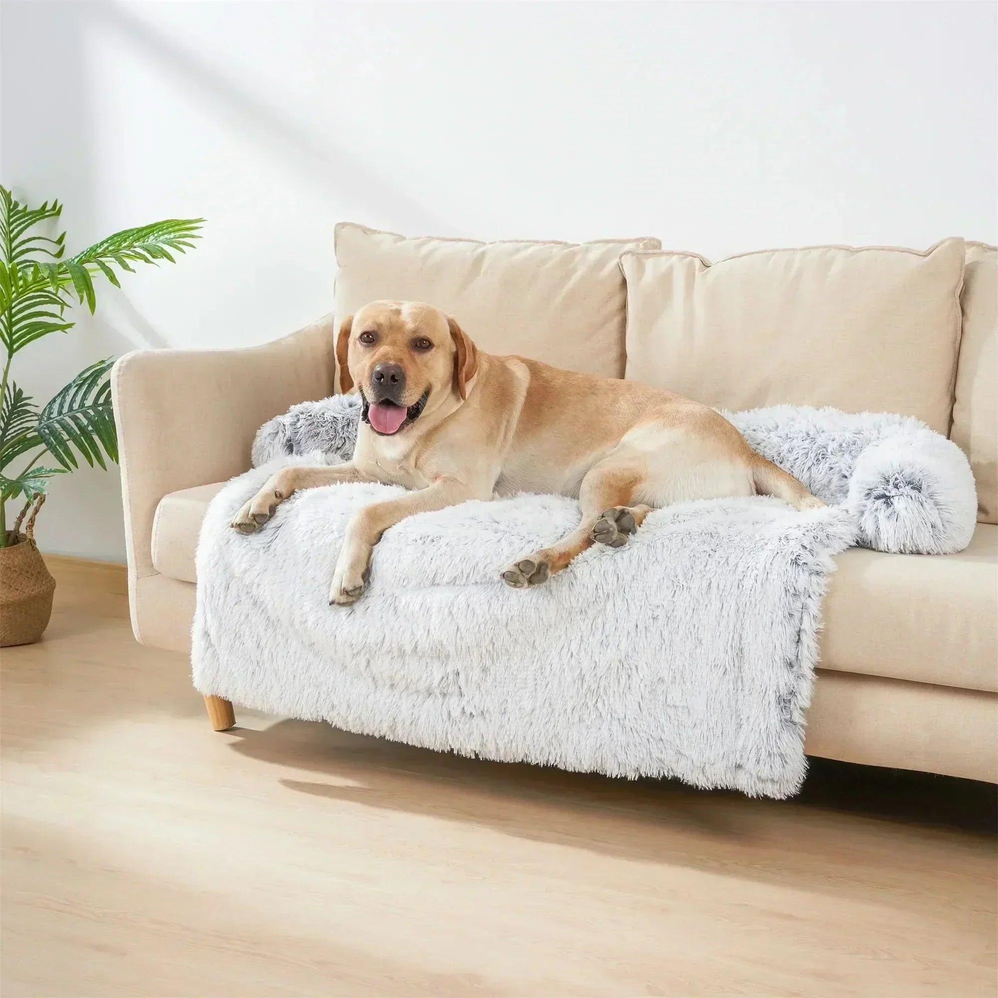 Coperta di lusso lavabile NovaPaws per cuccia, per il massimo comfort e la comodità dei proprietari di animali domestici