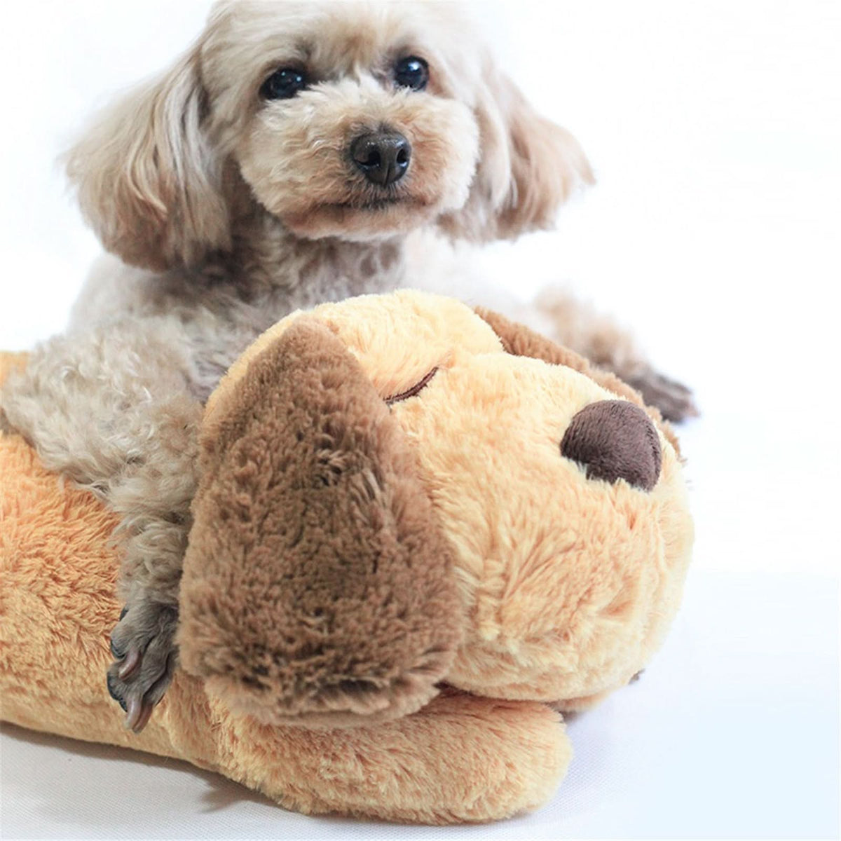 Παιχνίδι καρδιάς με παλμό για κουτάβια SnugglePup, για ήρεμες νύχτες και αίσθημα ασφάλειας από την αρχή