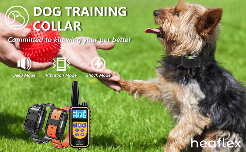 Collier d'entraînement avancé pour chien Heaflex