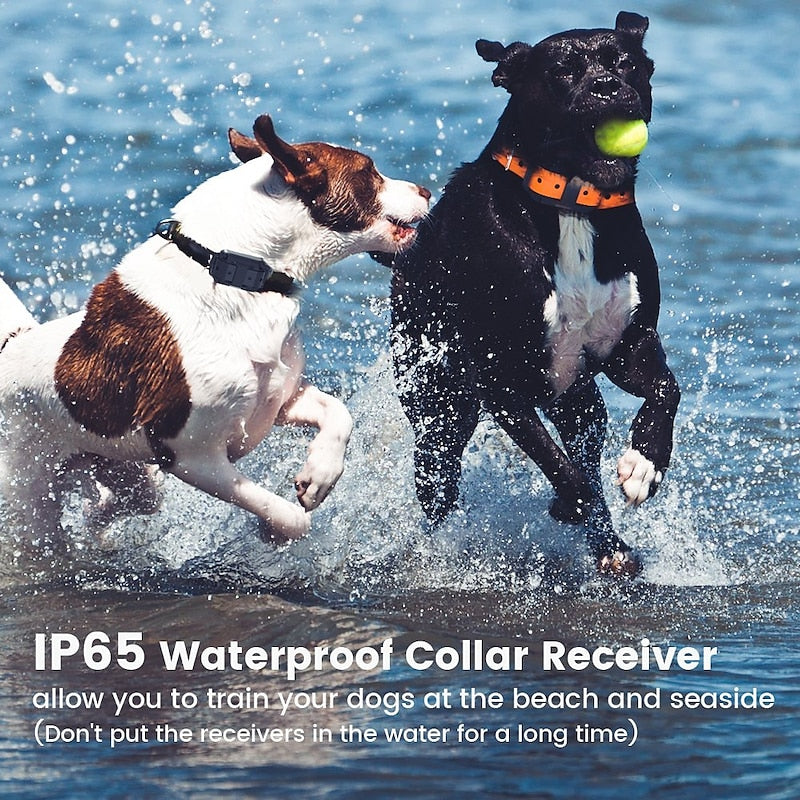 Collier d'entraînement avancé pour chien Heaflex