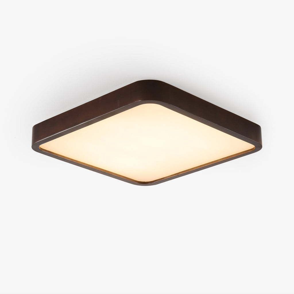 Lira Rectangular Ceiling Light - Lamp Outdoor