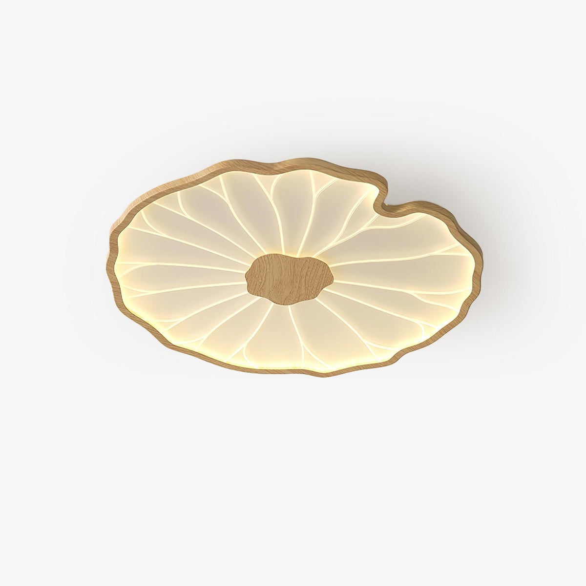 Lotus Leaf Acrylic Ceiling Lamp - Lamp Outdoor