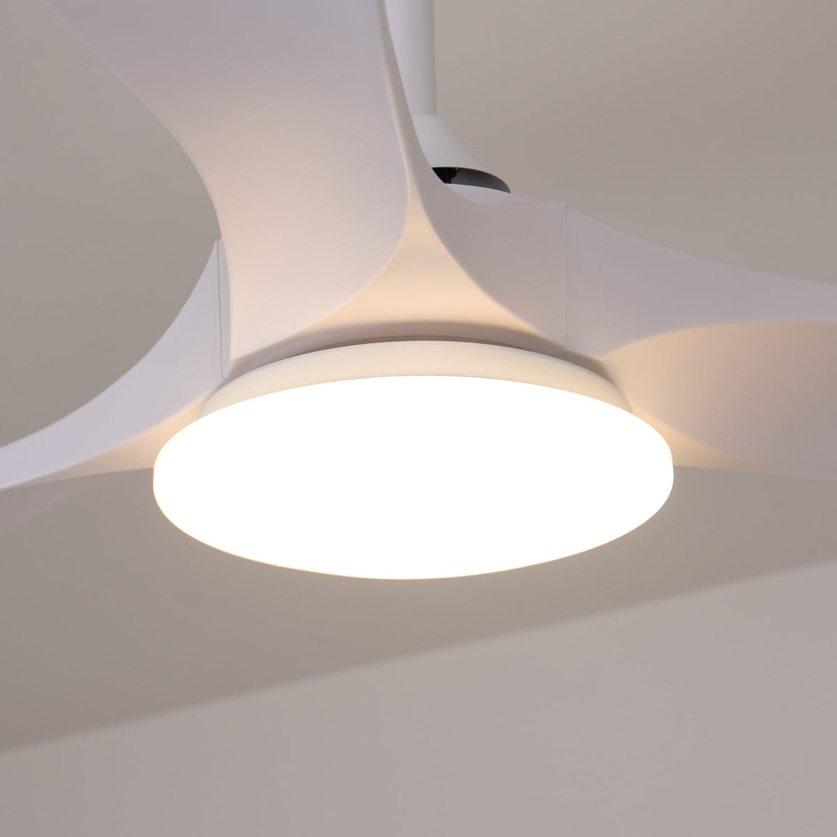Stropní ventilátor se světlem Virelo — varianty velikosti 42"/52"
