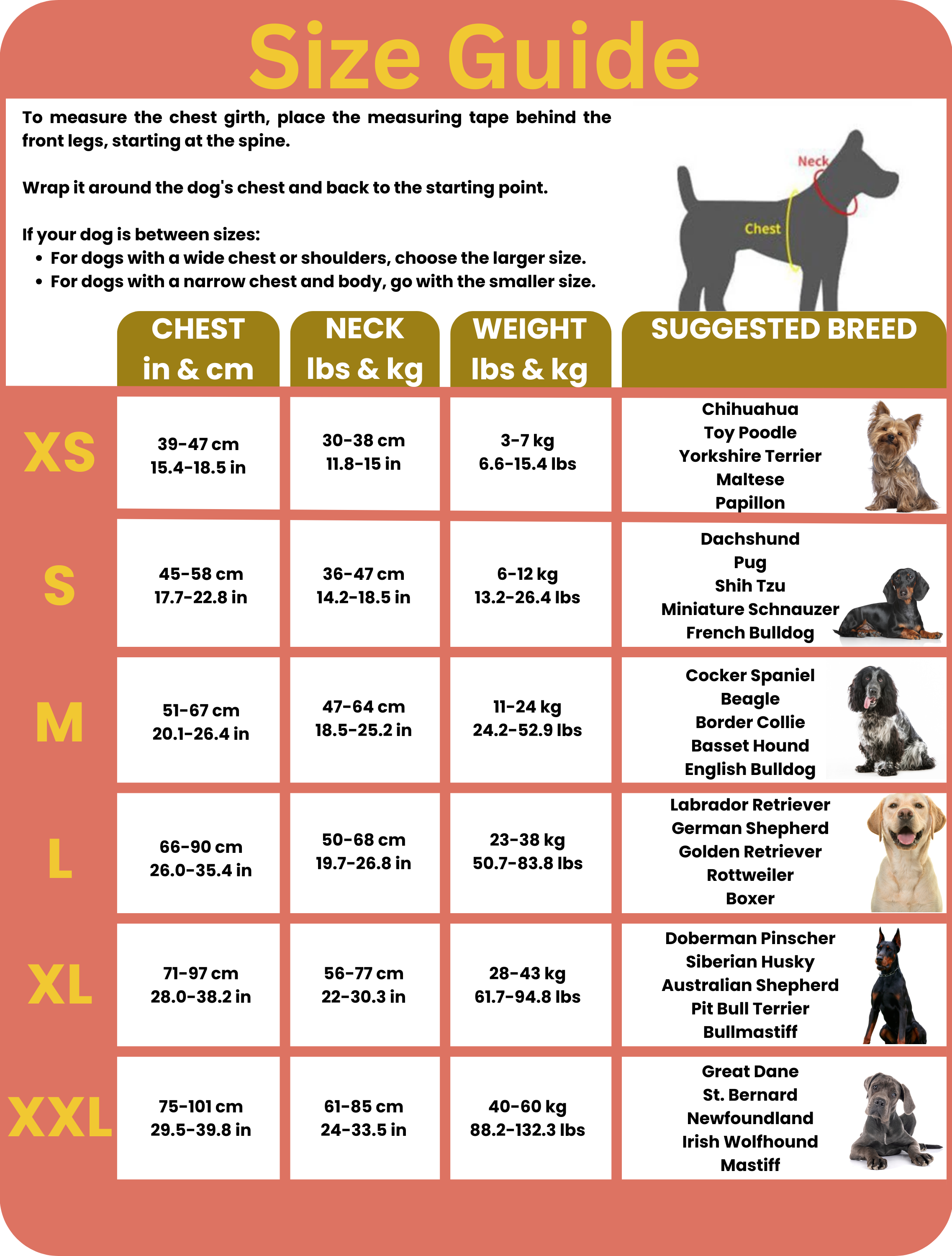 Imbracatura Personalizzata Antitrazione per Cani