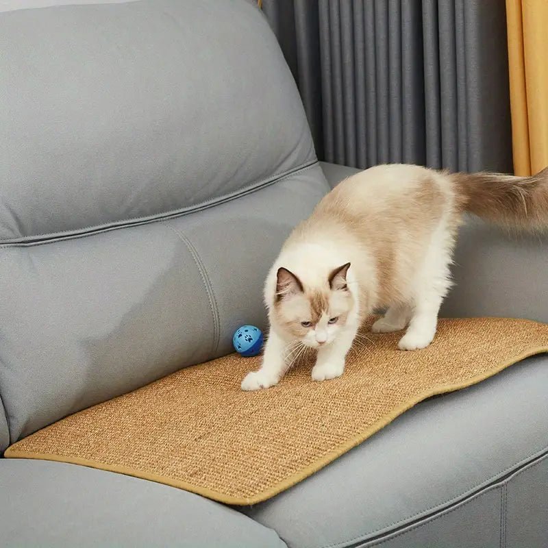 WhiskerCare Rascador para gatos para la salud de las garras y el juego, ideal para dueños de gatos