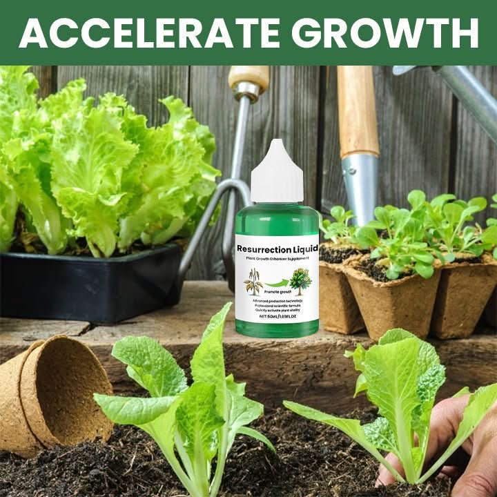 VerdantBoost Plant Growth Tonic Strengthens Roots For Happier Indoor Plants