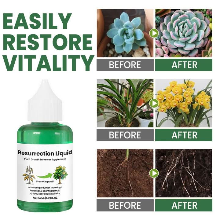 VerdantBoost Plant Growth Tonic Strengthens Roots For Happier Indoor Plants