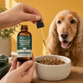 Owner adding herbal drops with a pipette to a happy dog's food bowl