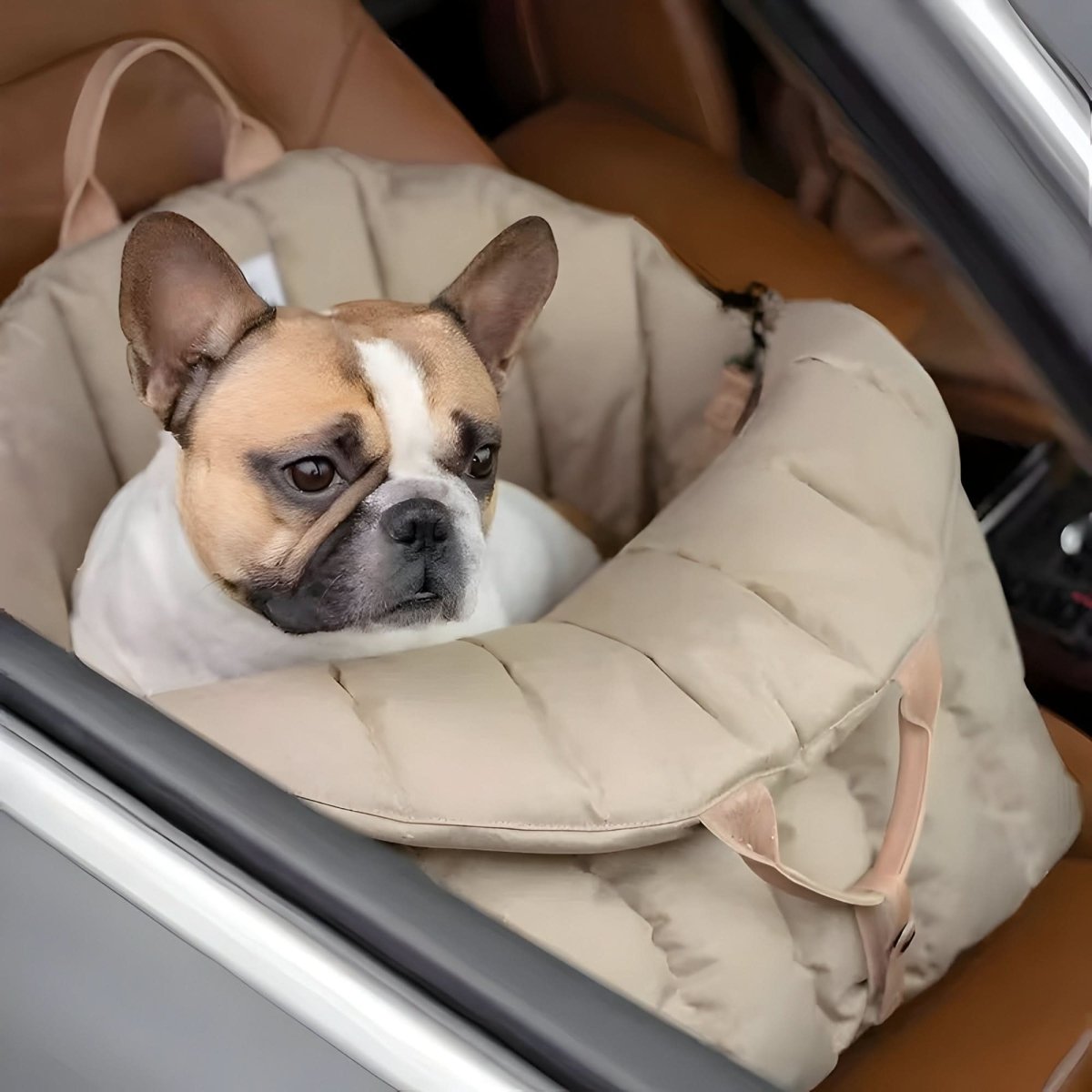 Lehká taška CozyPaw pro přenášení malých psů s hřejivou podšívkou a bezpečnostním pásem