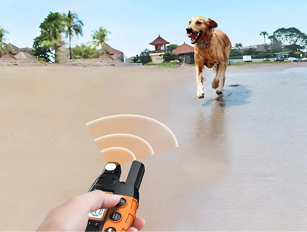 Prémium 1000m kutyakiképző nyakörv távirányítóval - vízálló, újratölthető elektromos nyakörv minden kutyamérethez